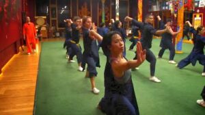 USA Shaolin Temple New York Kung fu school
