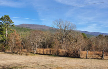 Blue Mountain