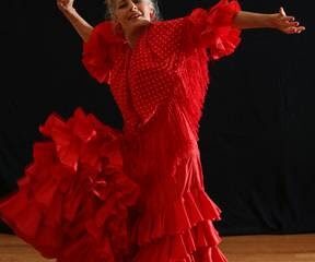 Flamenco Romántico Academy of Gypsy Flamenco Arts