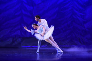 Virginia Ballet Company & School Fairfax Ballet school