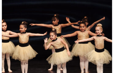 A Step Above School of Performing Arts LLC