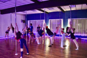 Aries Aerial Arts and Pole Dance Fitness Scranton Dance school