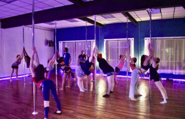 Aries Aerial Arts and Pole Dance Fitness