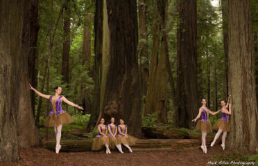 Trinity Ballet Academy