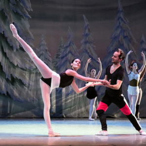 Westchester Ballet Company Ossining Non-profit organization